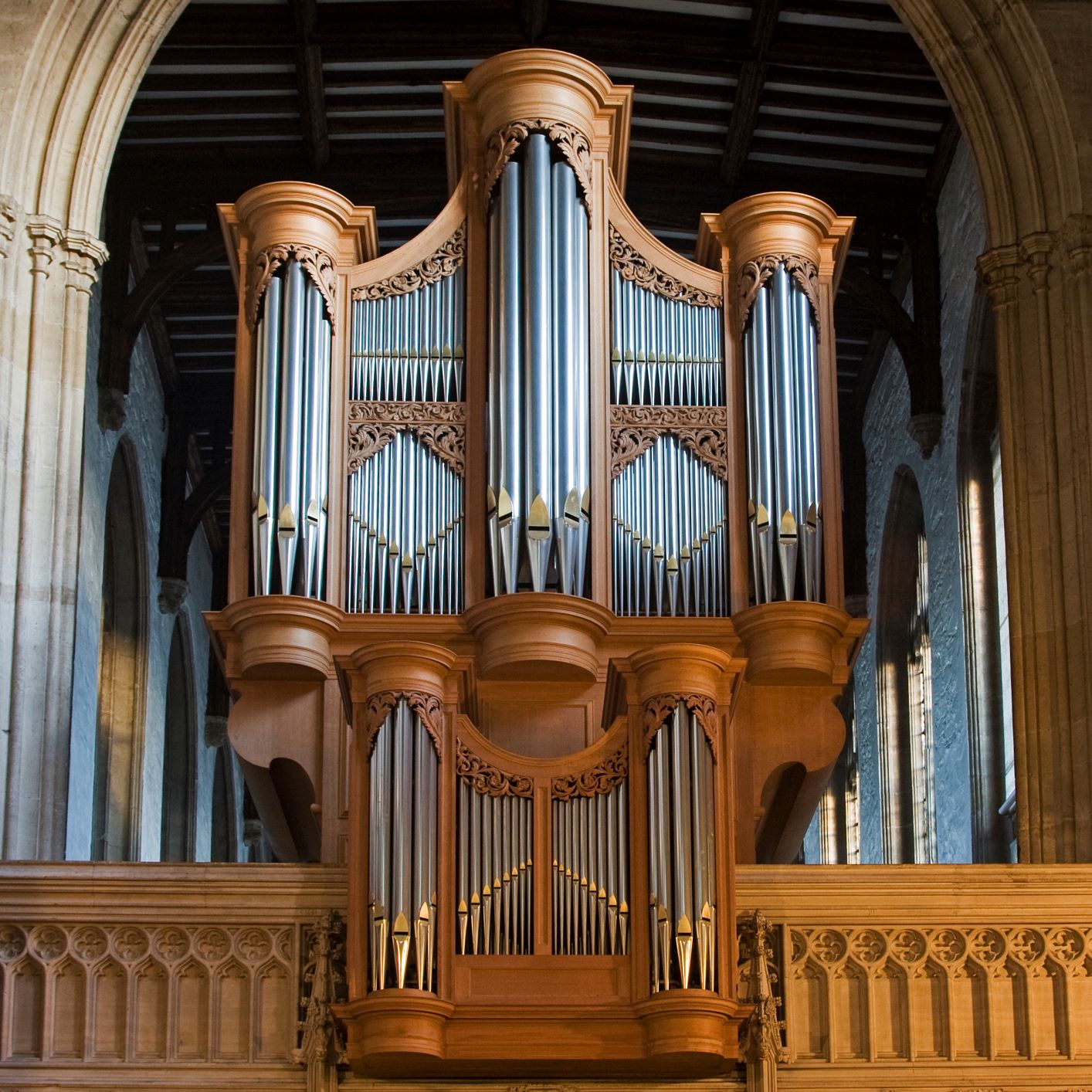 organ