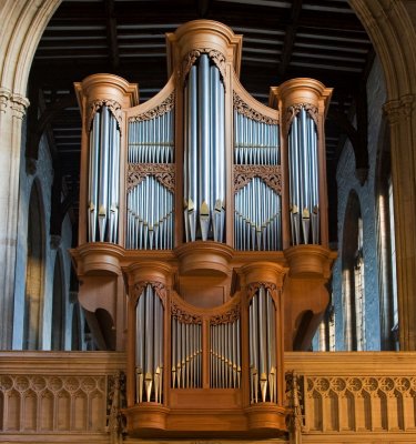 organ