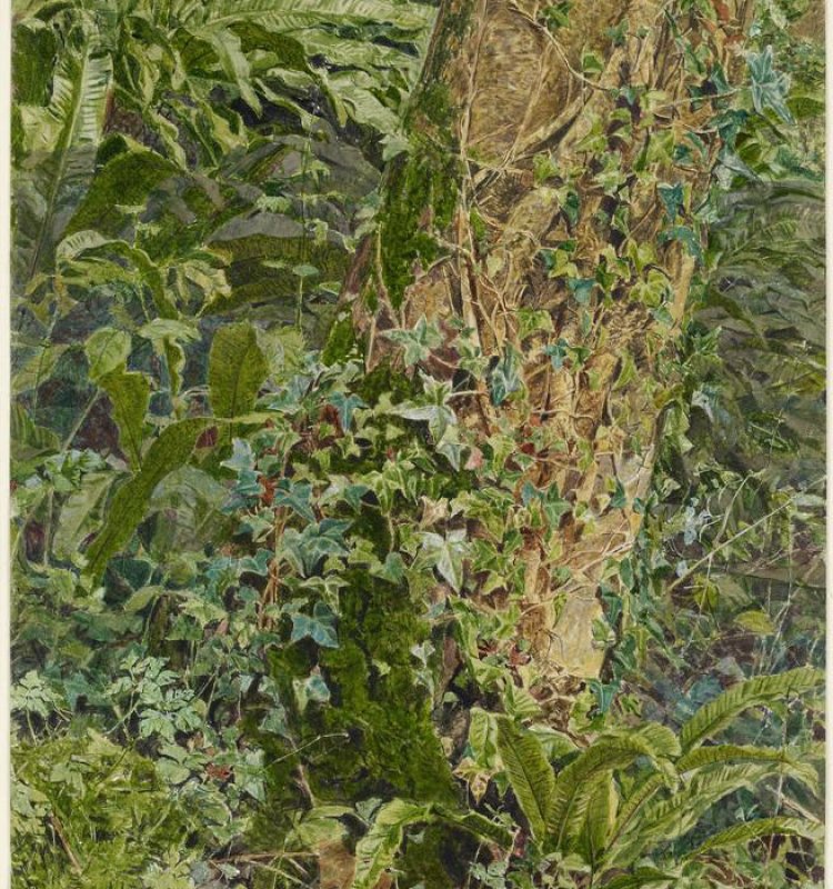 moore_ash_trunk_ashmolean_cropped_1.jpg