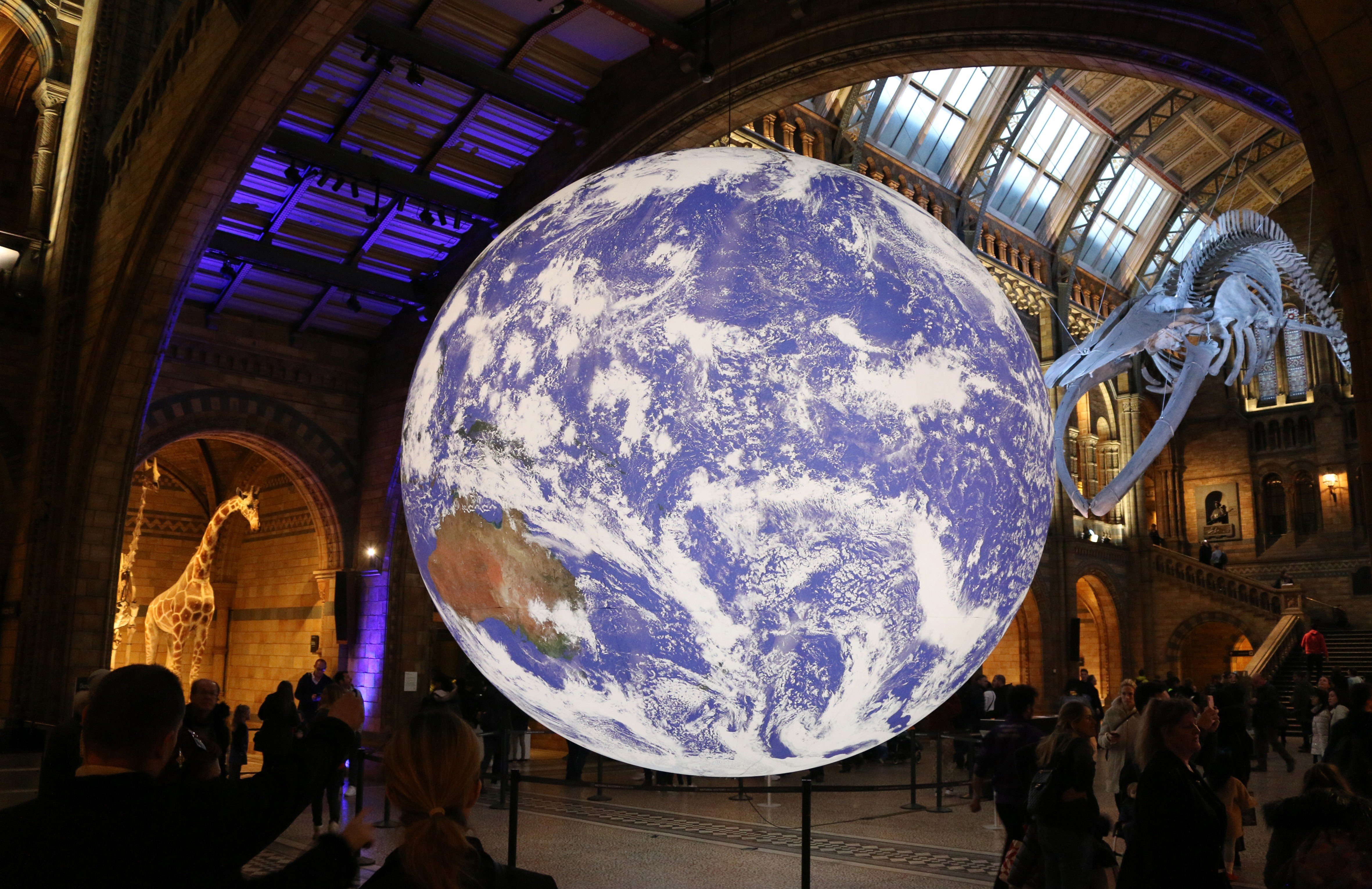 Gaia at Natural History Museum, UK, 2018.